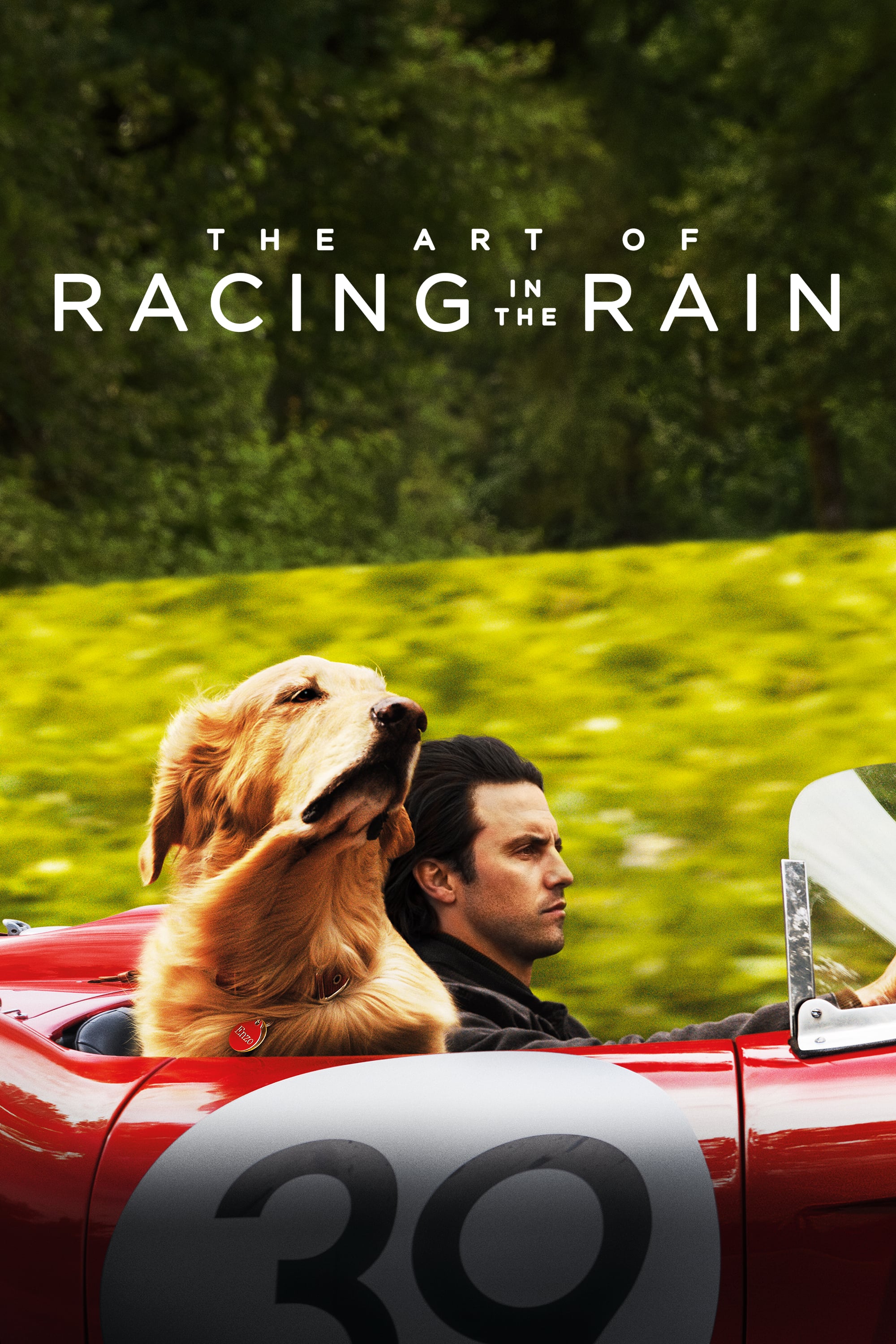 دانلود فیلم The Art of Racing in the Rain 2019