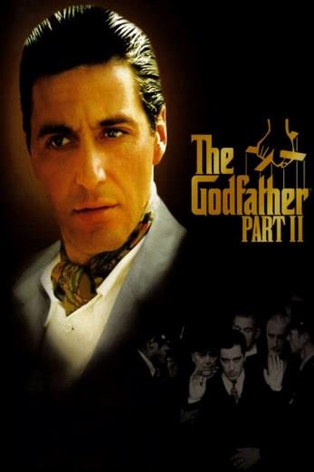 دانلود فیلم The Godfather: Part II 1974 دوبله فارسی