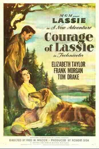 دانلود فیلم Courage of Lassie 1946