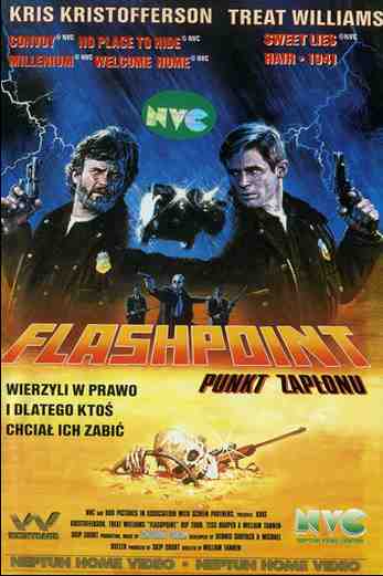 دانلود فیلم Flashpoint 1984